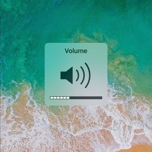 Meet your Posher, Marjorie